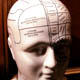 Dyslexia: the plastic brain and beyond