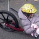 Setting wheels in motion