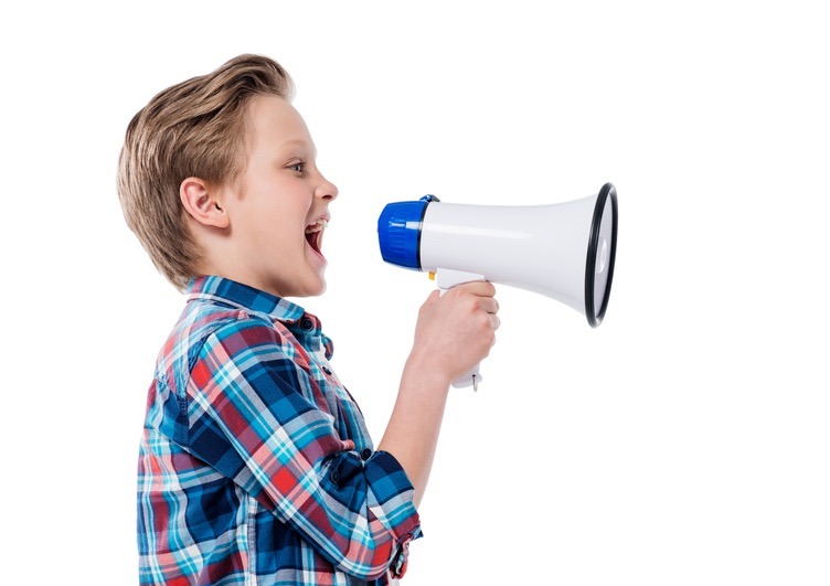 Hearing pupils’ voices