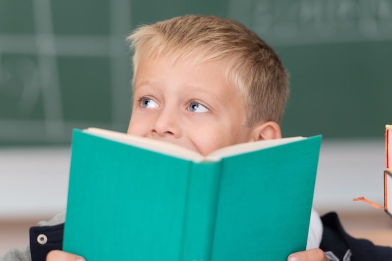 Is Pupil Premium Plus working?