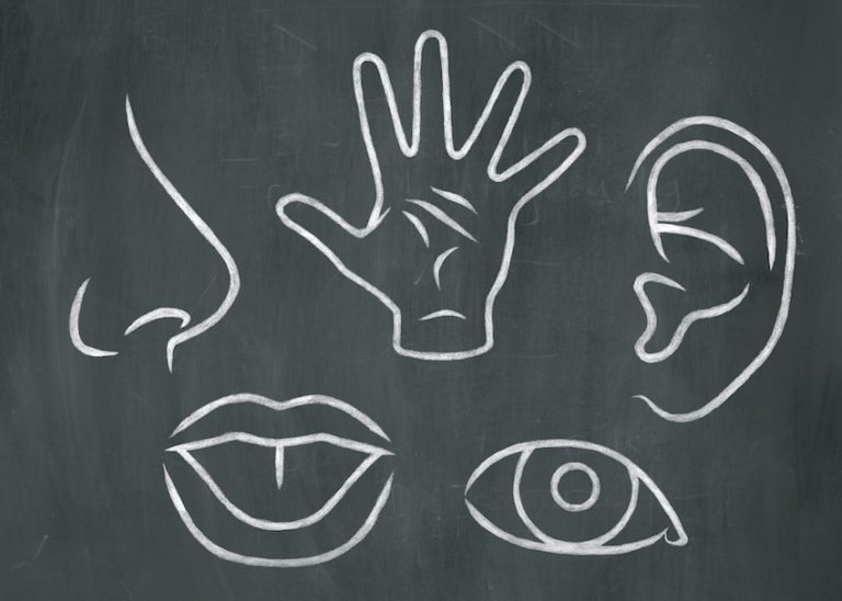 Sensory support for dyslexia