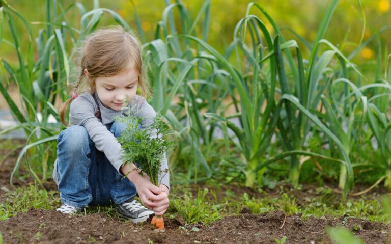Support children to get their hands dirty this autumn, urges RHS