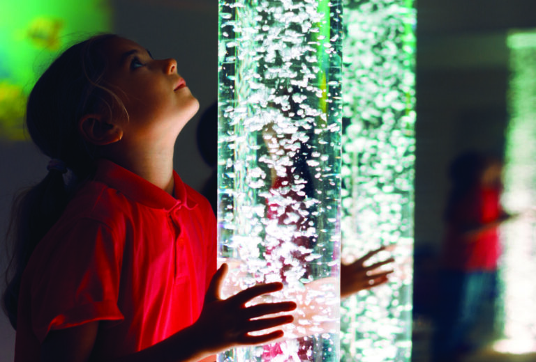 Sensory support for students with Cerebral Vision Impairments