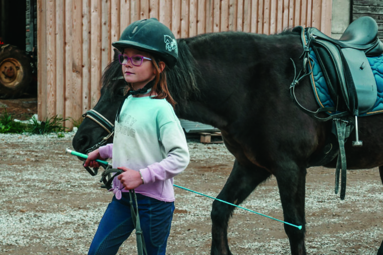What can working with horses teach us about mental health