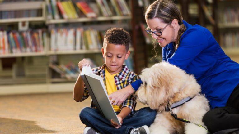 Tutoring and Pathological Demand Avoidance