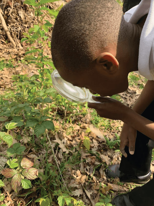 Climbing, balancing, noticing and exploring