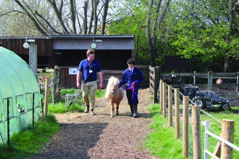 The educational & therapeutic impact of a school farm
