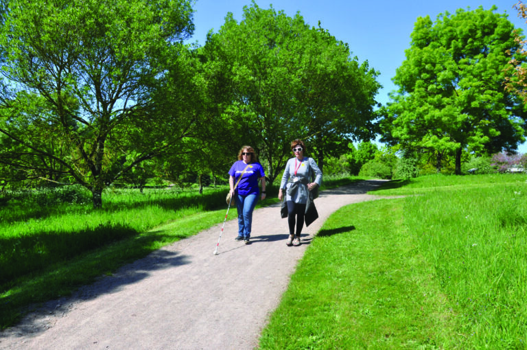 Successful sensory walks