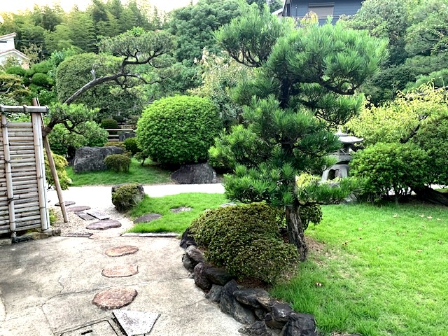 SEN in Japan