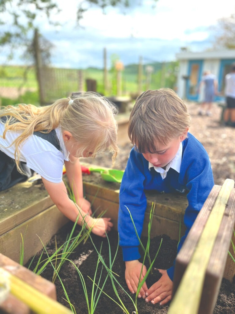 Playgrounds inspired by nature