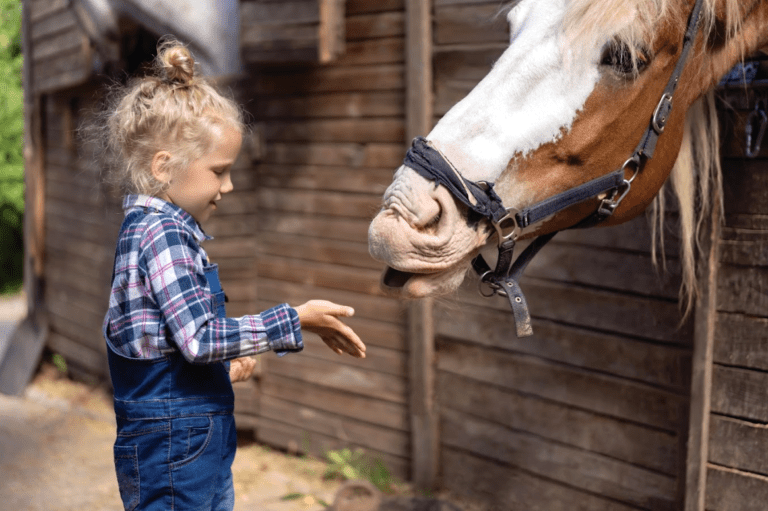 Horsepower