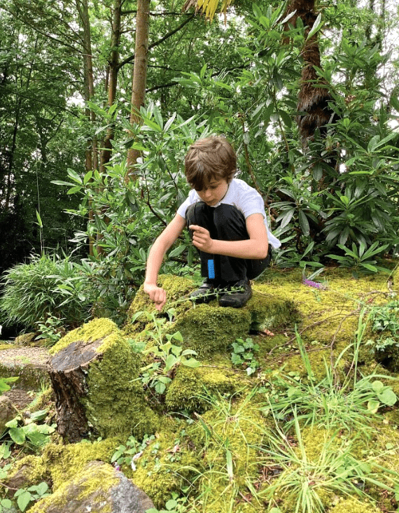 Forest school