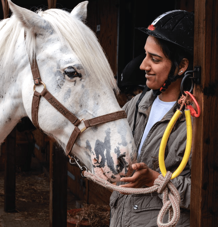 The gift of horses