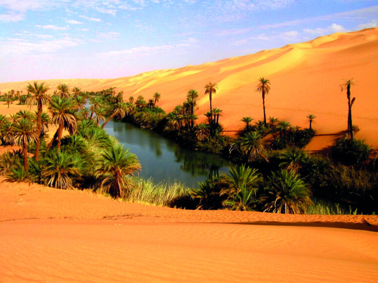 Creating an oasis