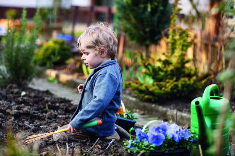 The garden that grew from “No”